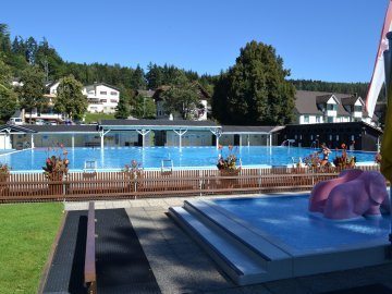 Schwimmbad Felsenau